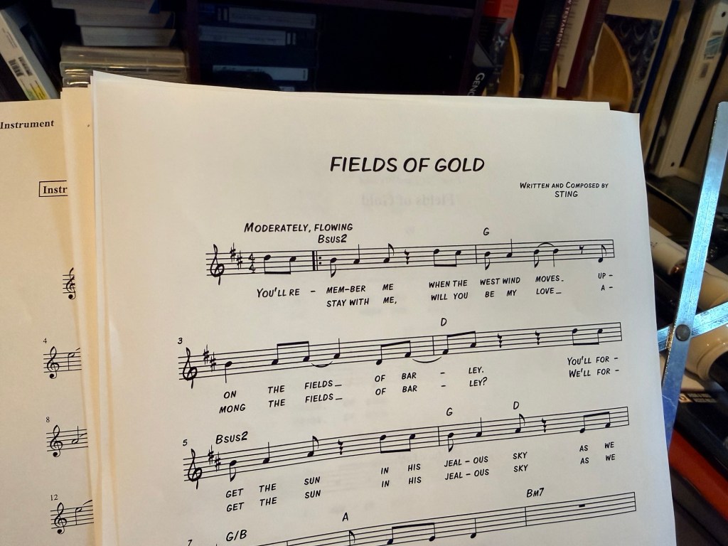 Music Fields of Gold by Sting